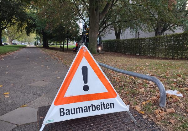 Baumfaellung-Duesseldorf-GRecke5