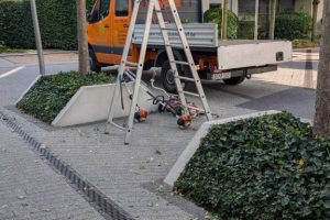 Grünflächenpflege im Park