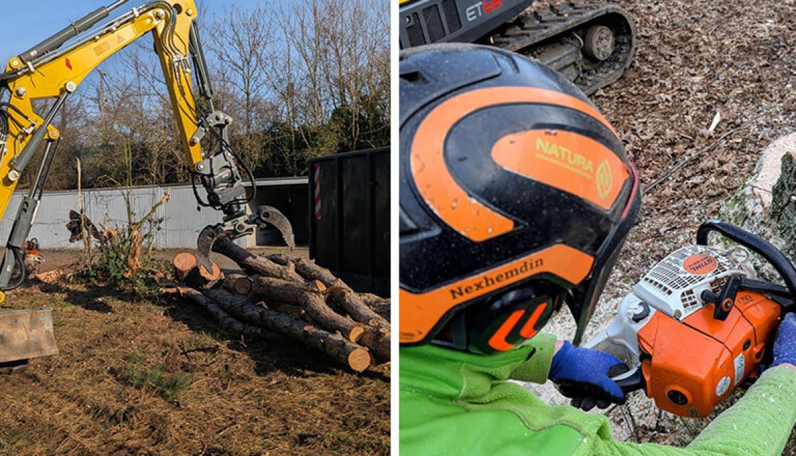 Rodungsarbeiten in Grevenbroich bei Düsseldorf