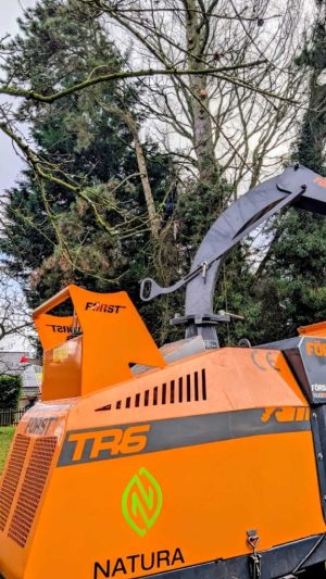 Baumpflege-Düsseldorf-1 Baumpflege in Düsseldorf