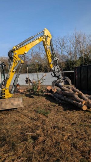 Rodungsarbeiten-Grevenbroich-3 Rodungsarbeiten in Grevenbroich