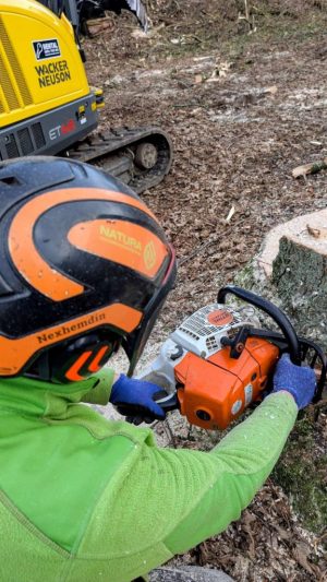 Rodungsarbeiten-Grevenbroich Rodungsarbeiten in Grevenbroich